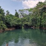 listing image thumbnail with ID 66256