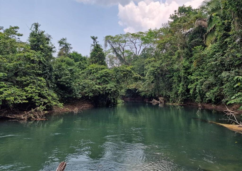 listing image with ID 66256