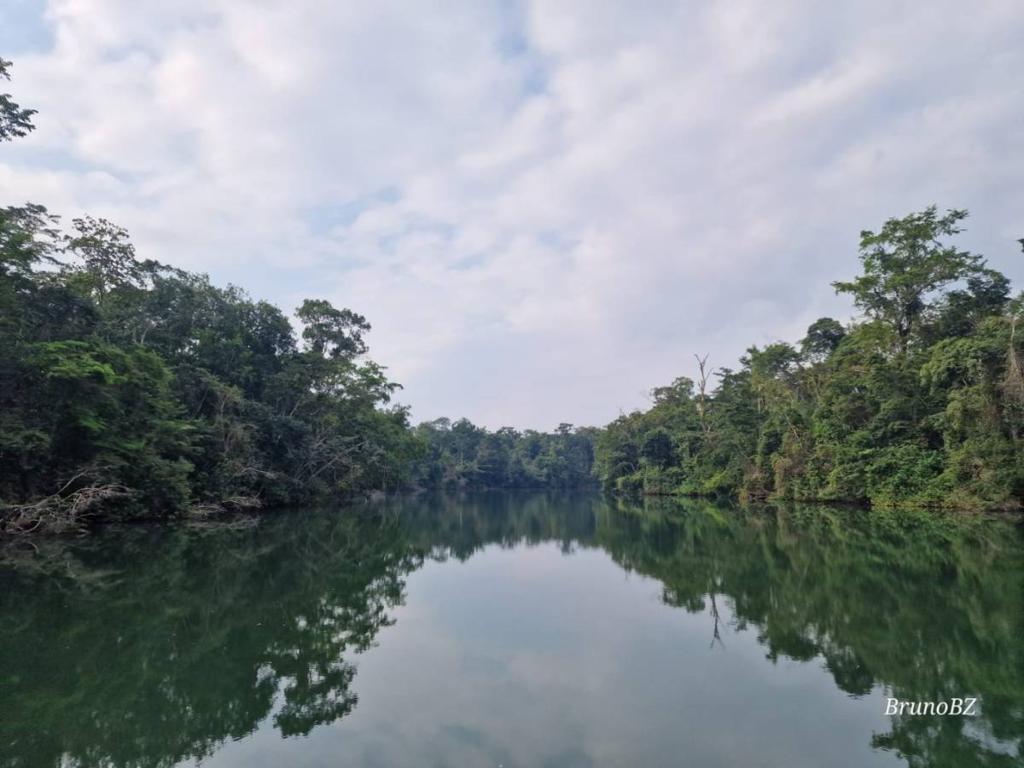 listing image with ID 67837