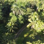 listing image thumbnail with ID 65526