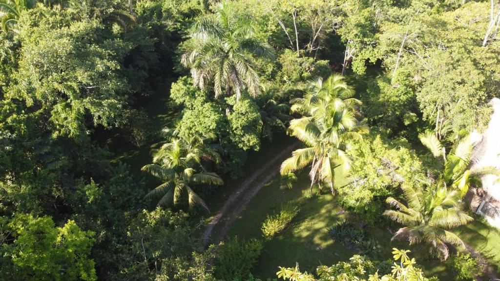 listing image with ID 65526