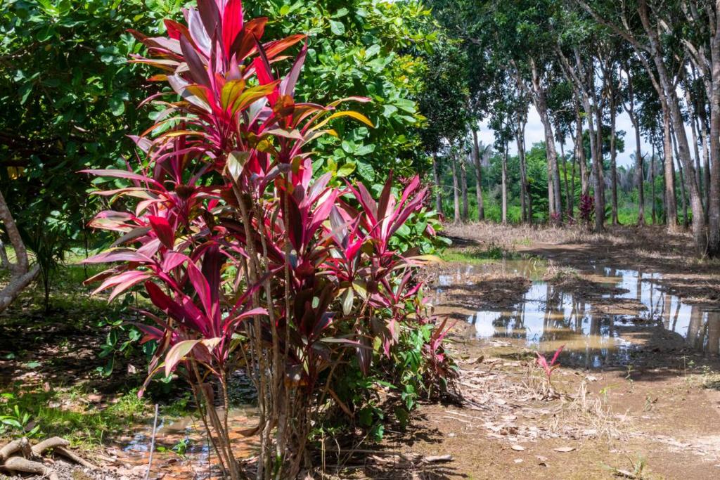 listing image with ID 67695