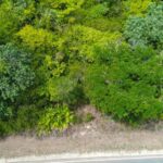 listing image thumbnail with ID 65334