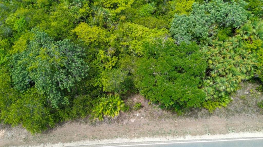 listing image with ID 65334