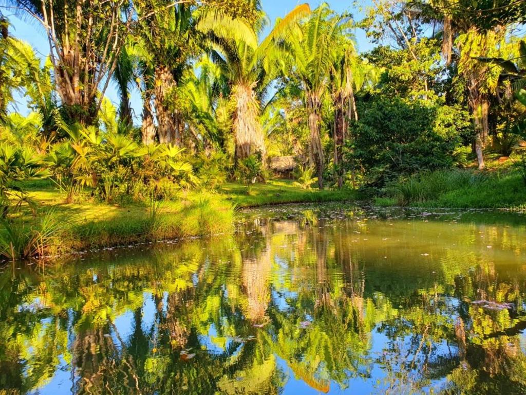 listing image with ID 67781