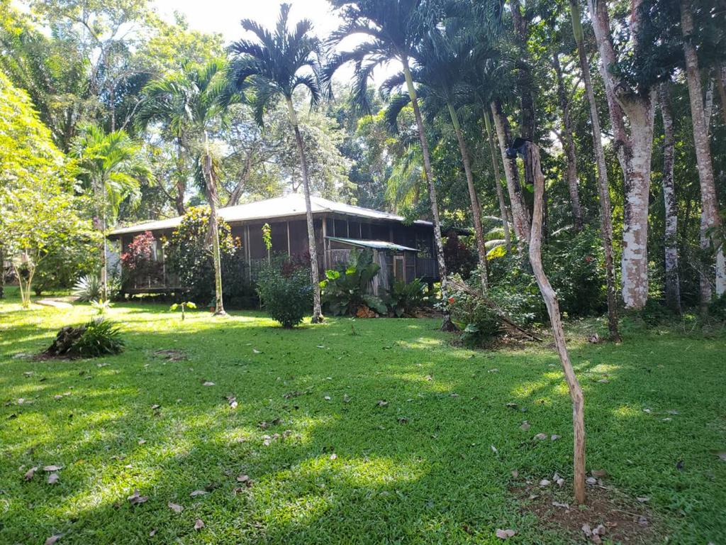 listing image with ID 67361