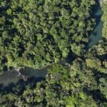 listing image thumbnail with ID 64596