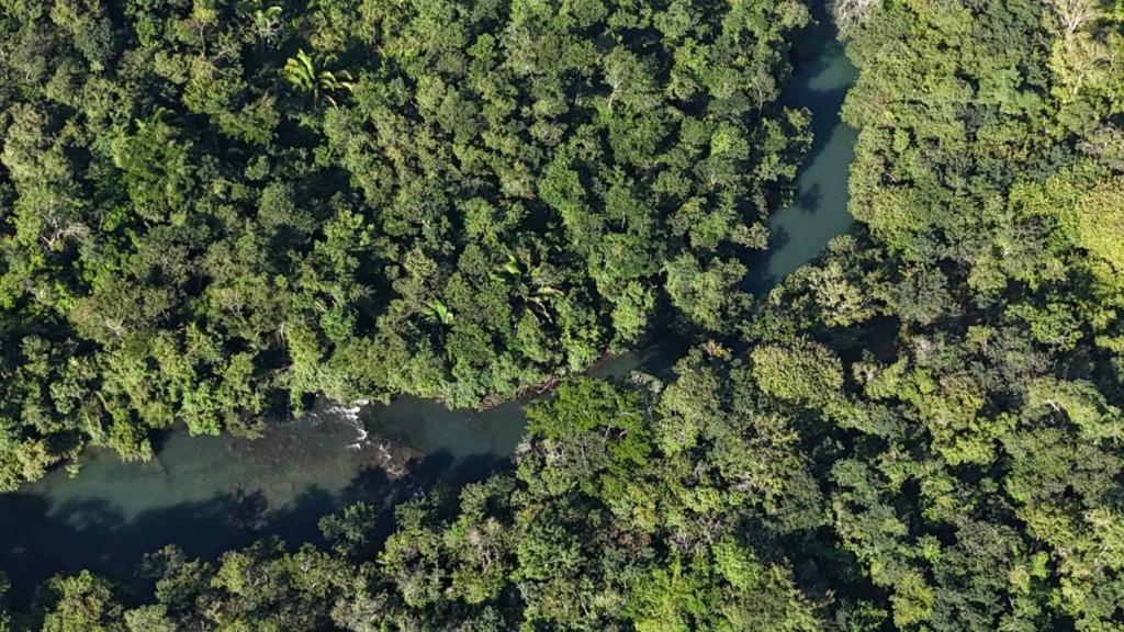 listing image with ID 64596