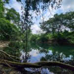 listing image thumbnail with ID 69193