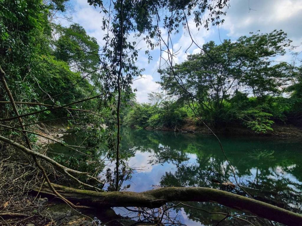 listing image with ID 69193