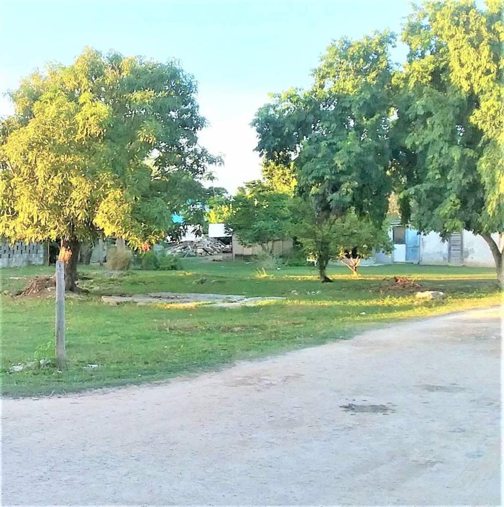 listing image with ID 66604