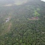 listing image thumbnail with ID 65825