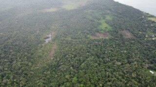 listing image with ID 65825