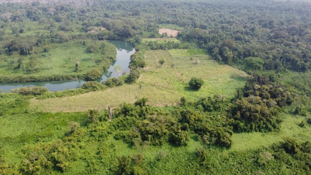 listing image with ID 64180