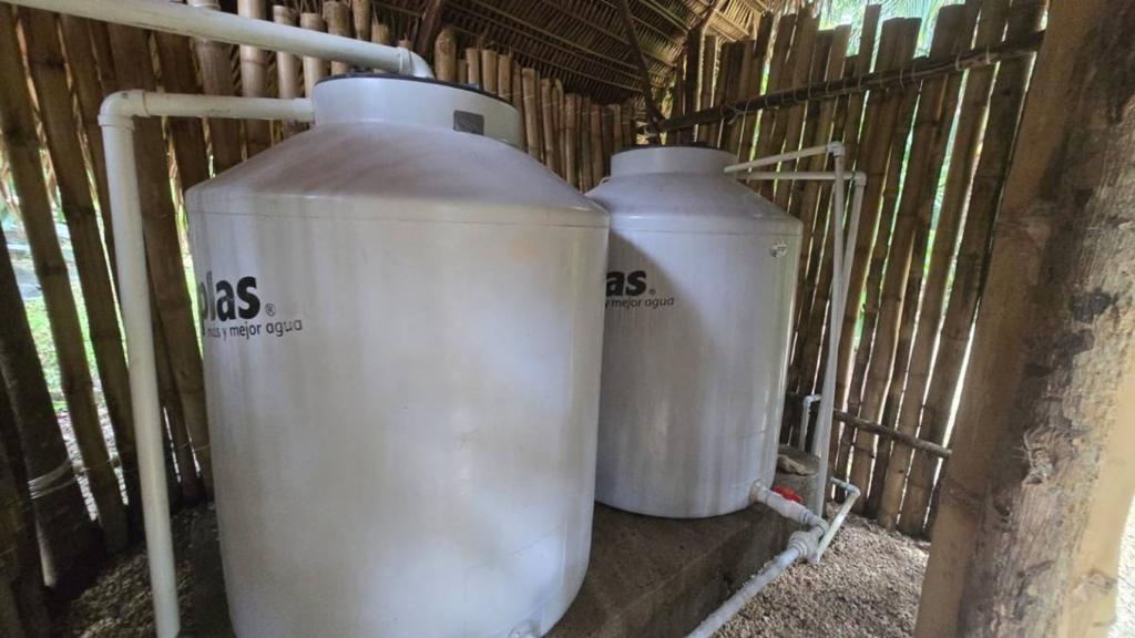 listing image with ID 65909