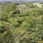 listing image thumbnail with ID 63762