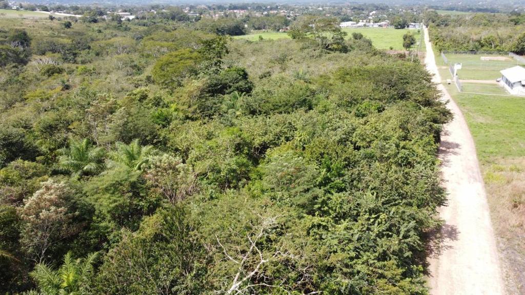 listing image with ID 63762