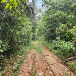 listing image thumbnail with ID 64908