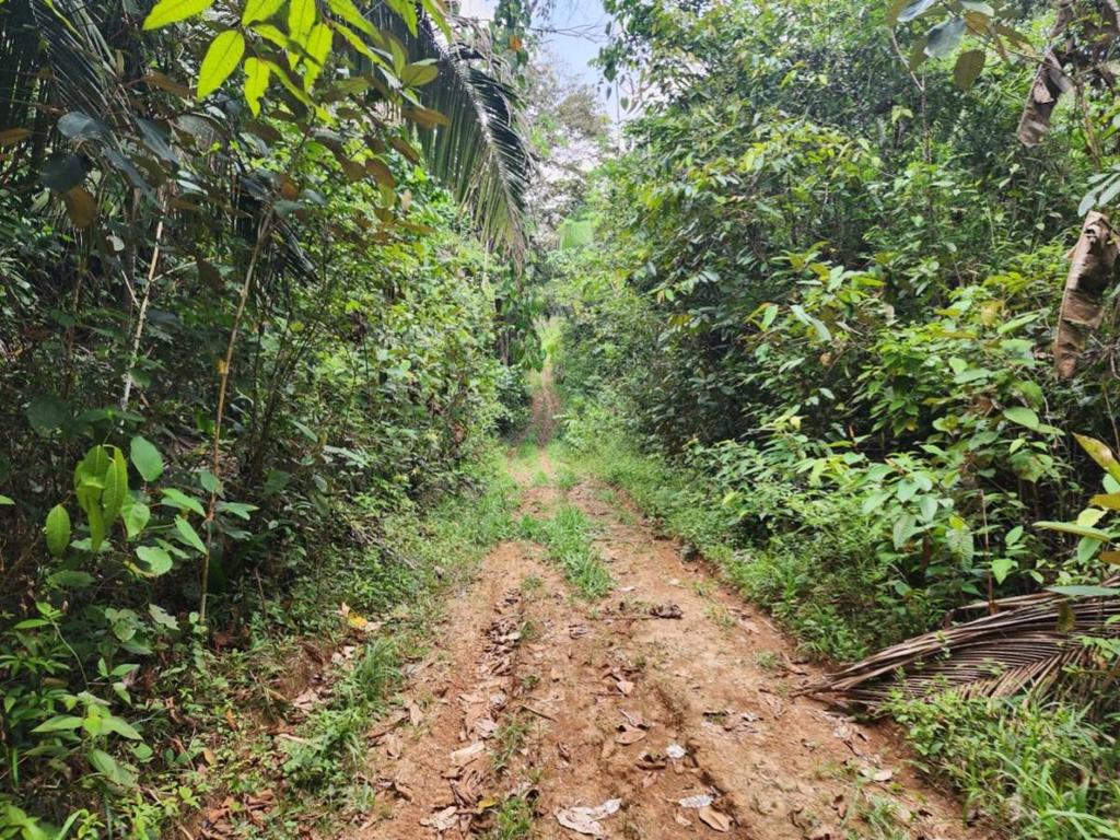 listing image with ID 64908