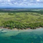 listing image thumbnail with ID 63755