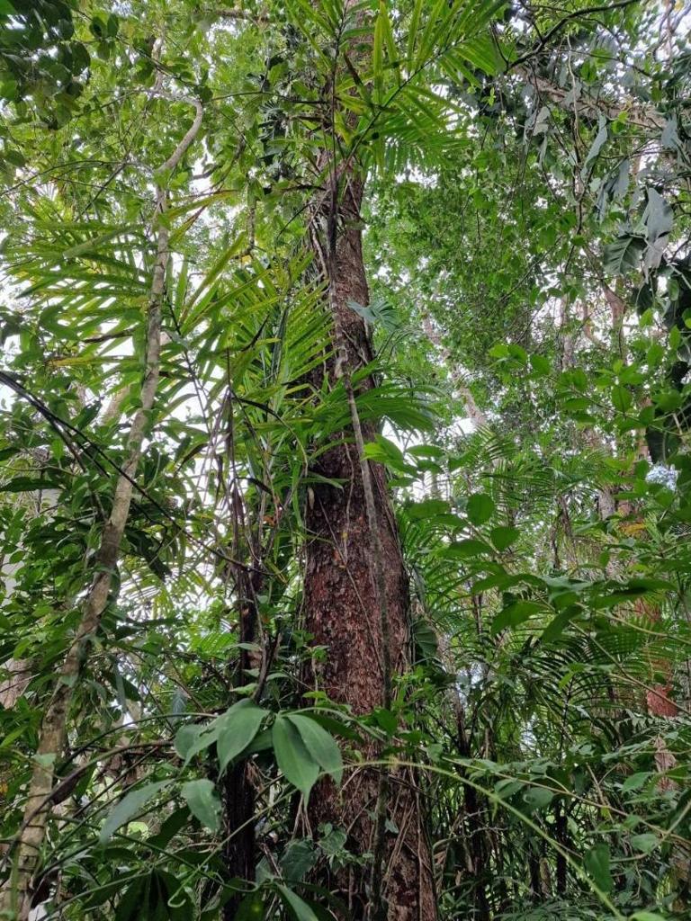 listing image with ID 63975