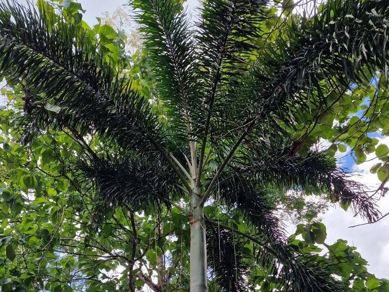 listing image with ID 64197