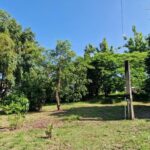 listing image thumbnail with ID 63902