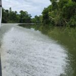 listing image thumbnail with ID 65443