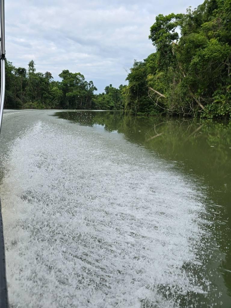 listing image with ID 65443