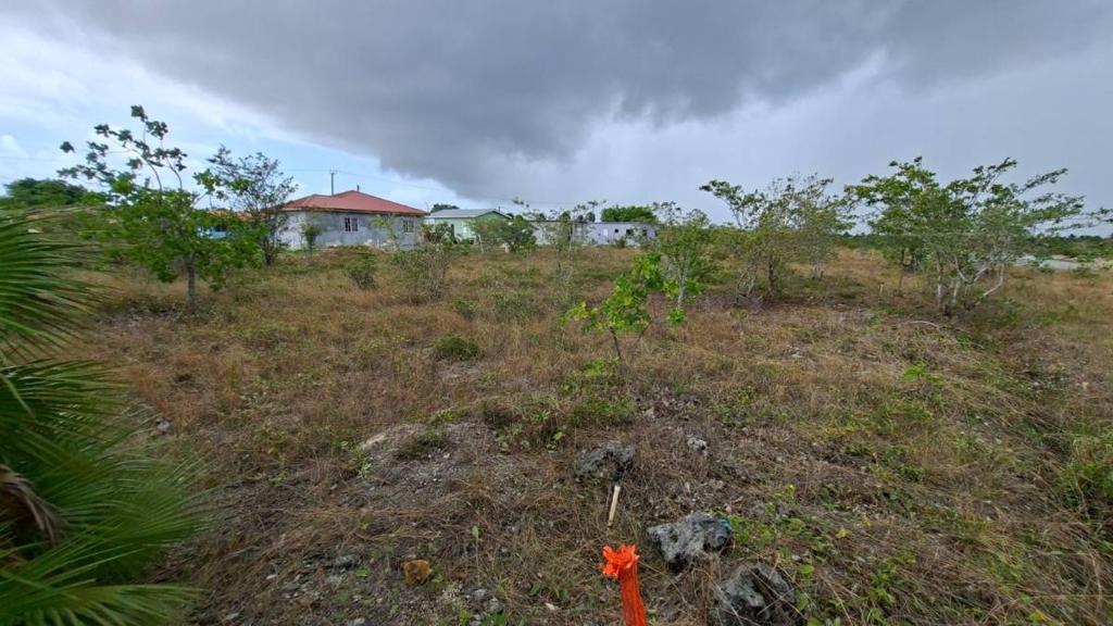 listing image with ID 67223