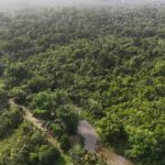 listing image thumbnail with ID 65420