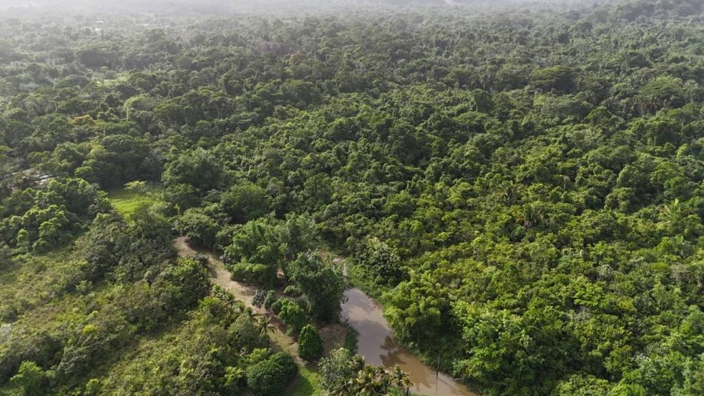 listing image with ID 65420