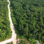 listing image thumbnail with ID 68073