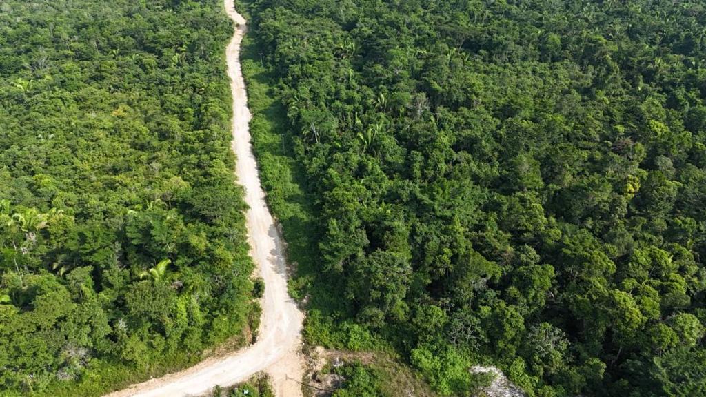 listing image with ID 68073