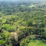 listing image thumbnail with ID 64878