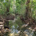 listing image thumbnail with ID 67529