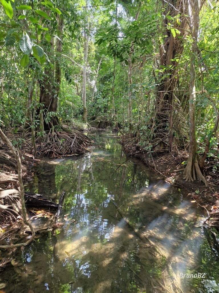 listing image with ID 67529