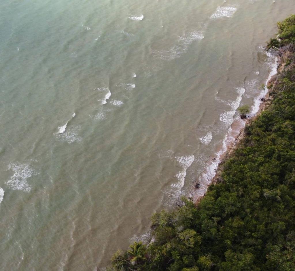 listing image with ID 64017