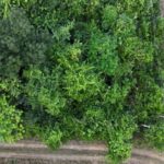 listing image thumbnail with ID 68232