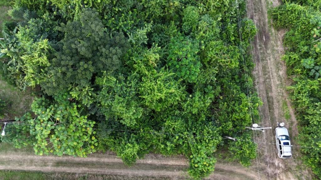 listing image with ID 68232