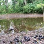 listing image thumbnail with ID 63574