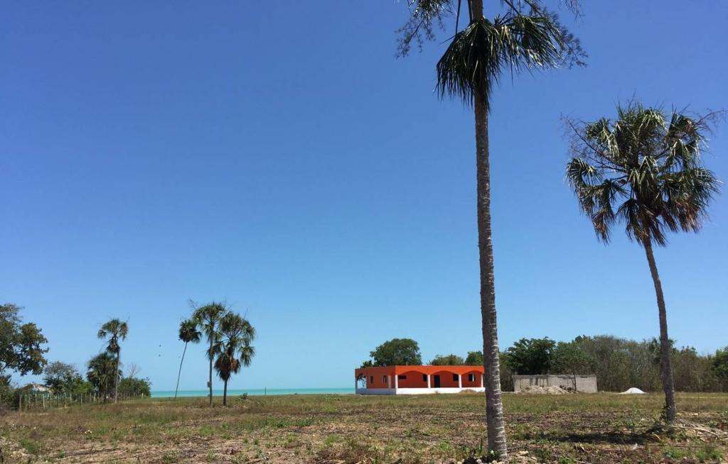 listing image with ID 67640