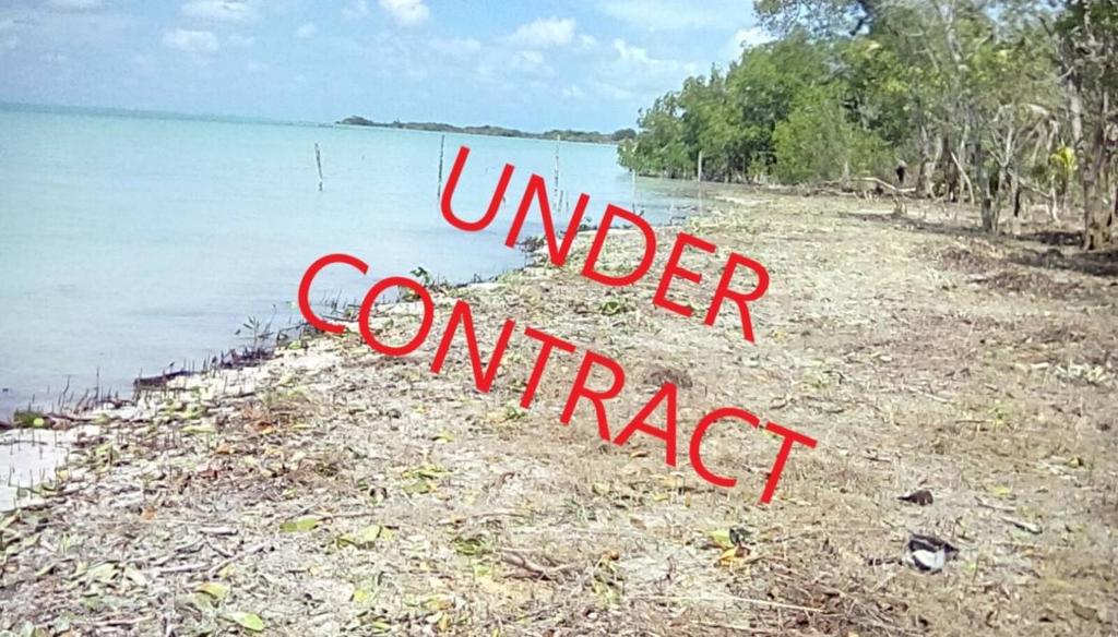 listing image with ID 68202