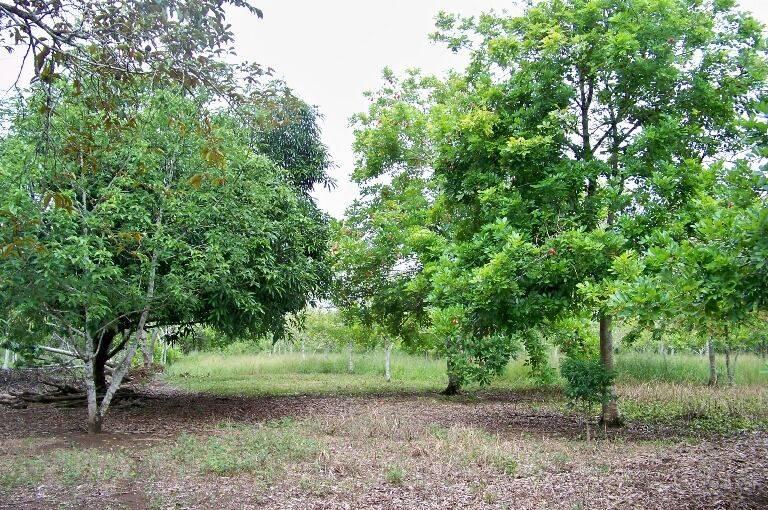 listing image with ID 69300