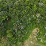 listing image thumbnail with ID 66555