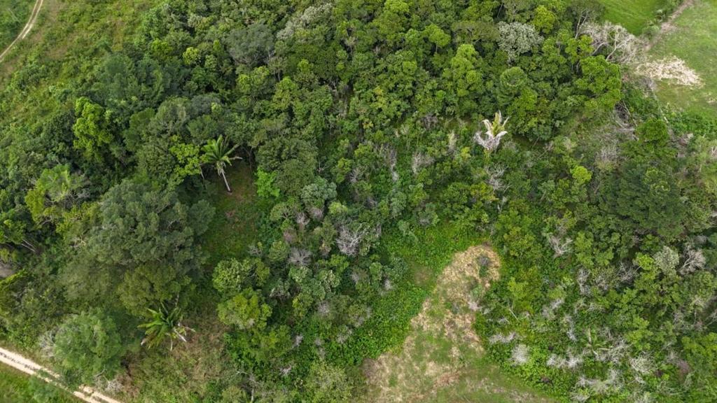 listing image with ID 66555