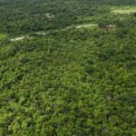 listing image thumbnail with ID 66658