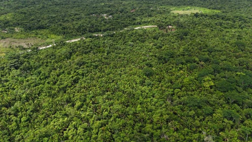 listing image with ID 66658