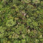 listing image thumbnail with ID 65273