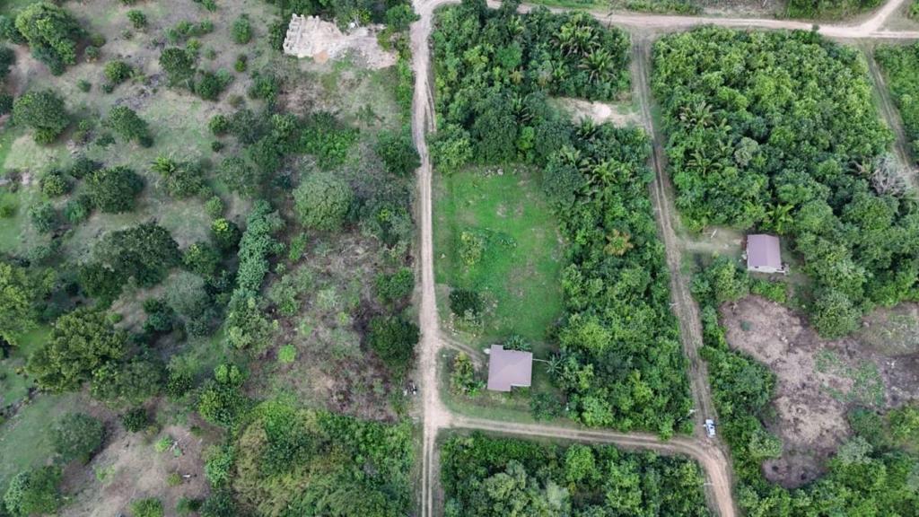 listing image with ID 64104